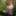 Flashing in the woods Stockings and Suspenders #59