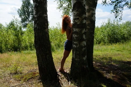 red hair and birch         