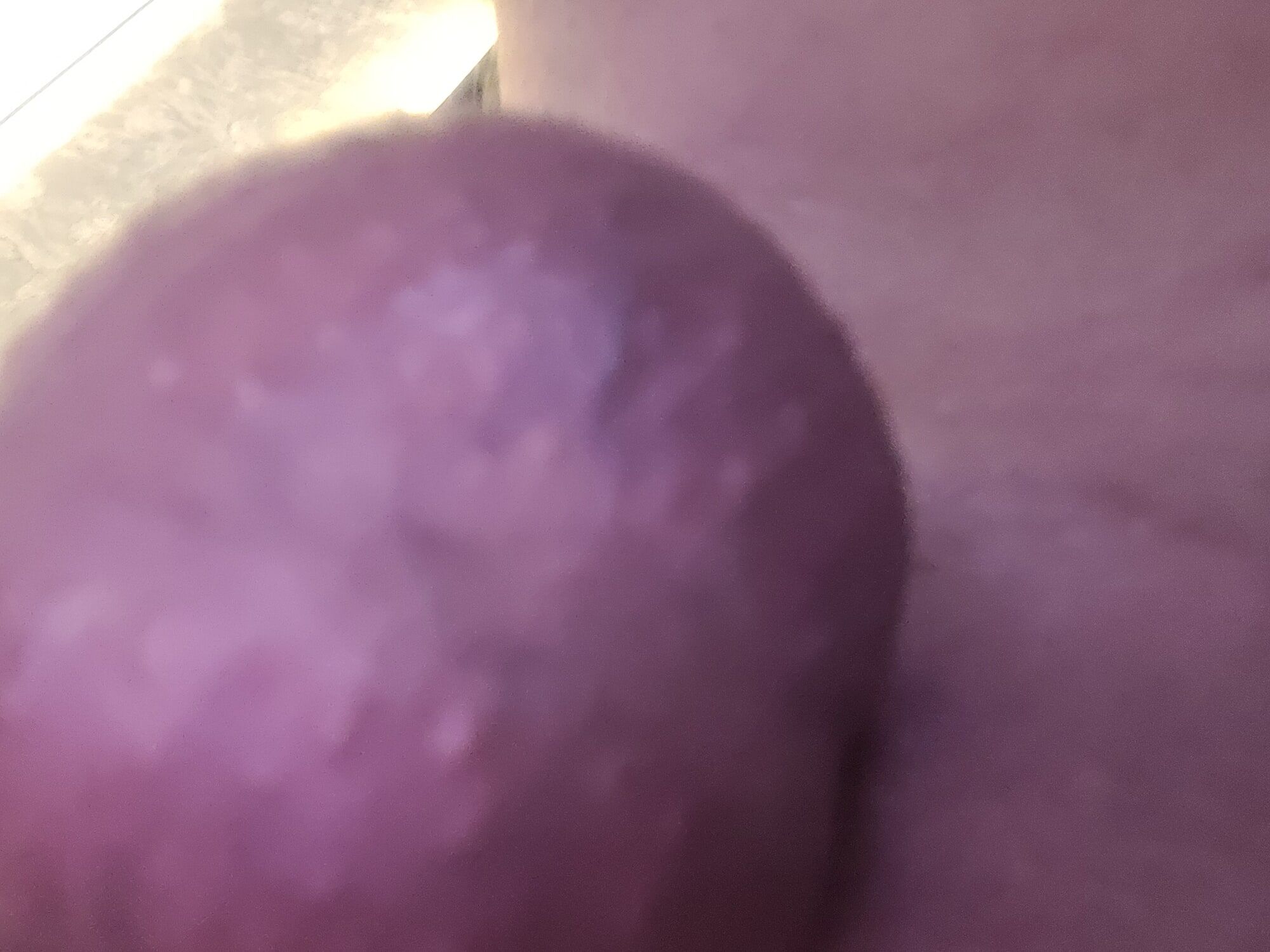 dildo in my ass and pictures of my little cock  #9