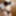 Tease ??? #5