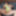 Sexy BBW Micro Swim Suit #20
