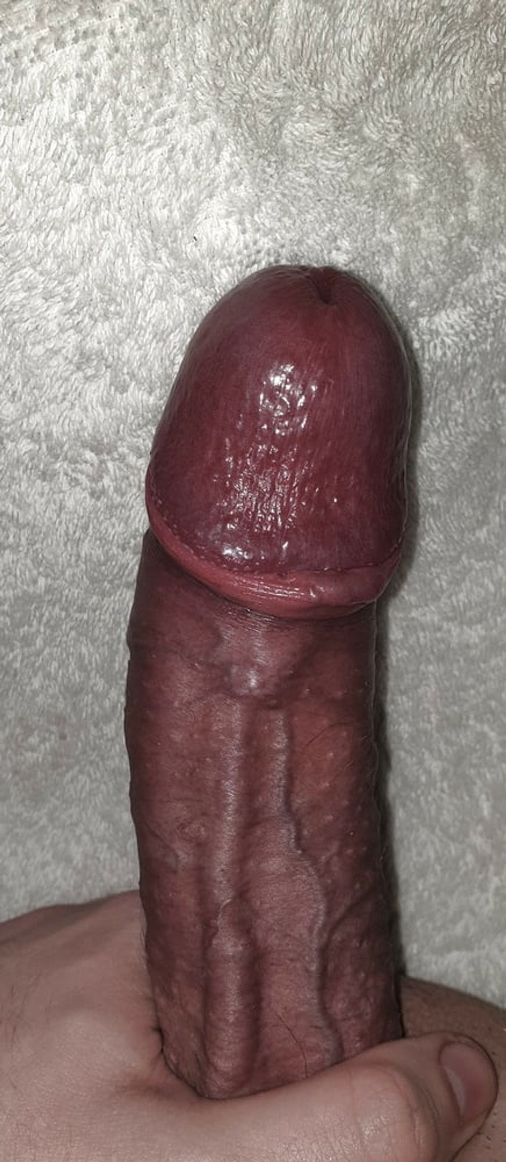 Hard big dick