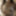 First Shoot 18 years old latina spinner