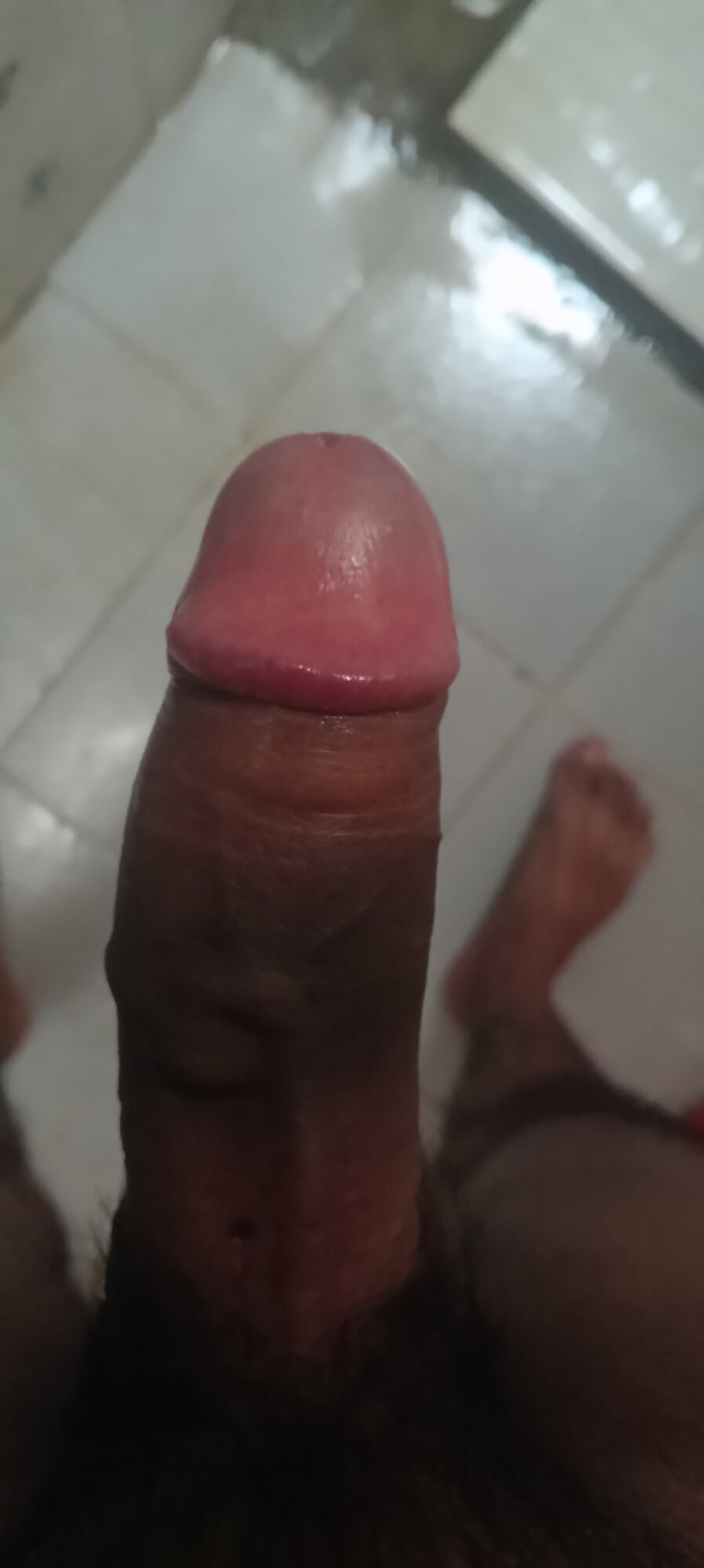 Hard dick  #4