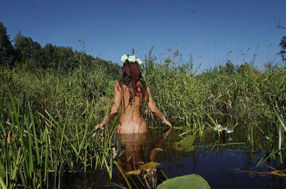  In Pond with Waterflowers 2 #34