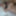 Dec 3 WEEKLY Video Update to DoggVision VIP Members Area  #3