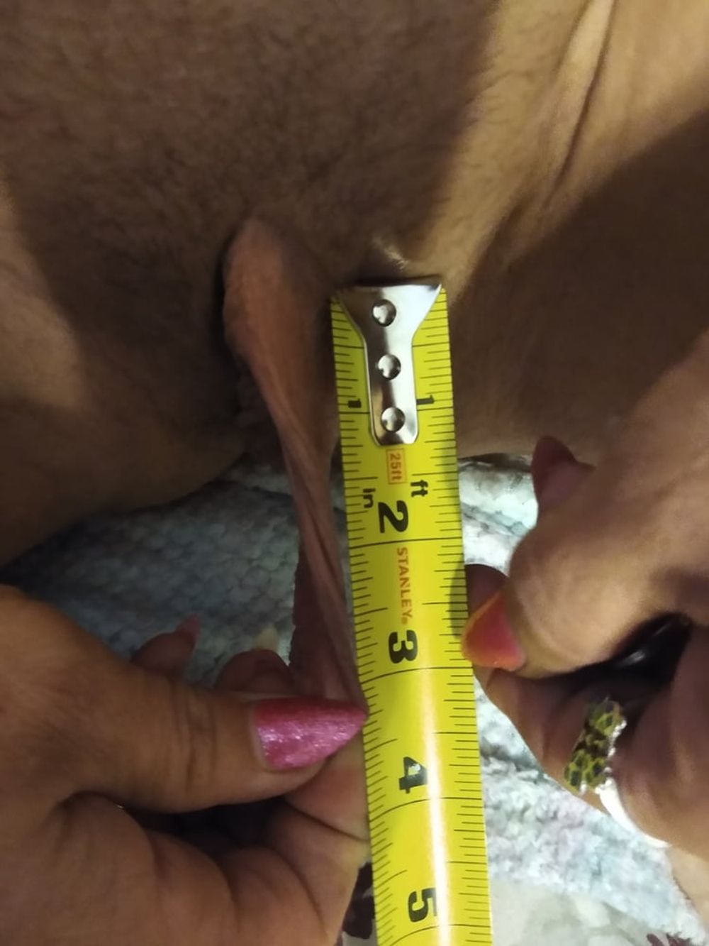 Measuring them