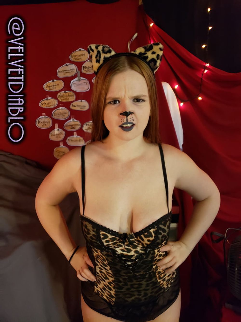 Week 197 - More Big Ass Halloween Costumes - Kitty - Puppy #23