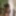 2019 random  #5
