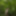 Wanking in the woods #8