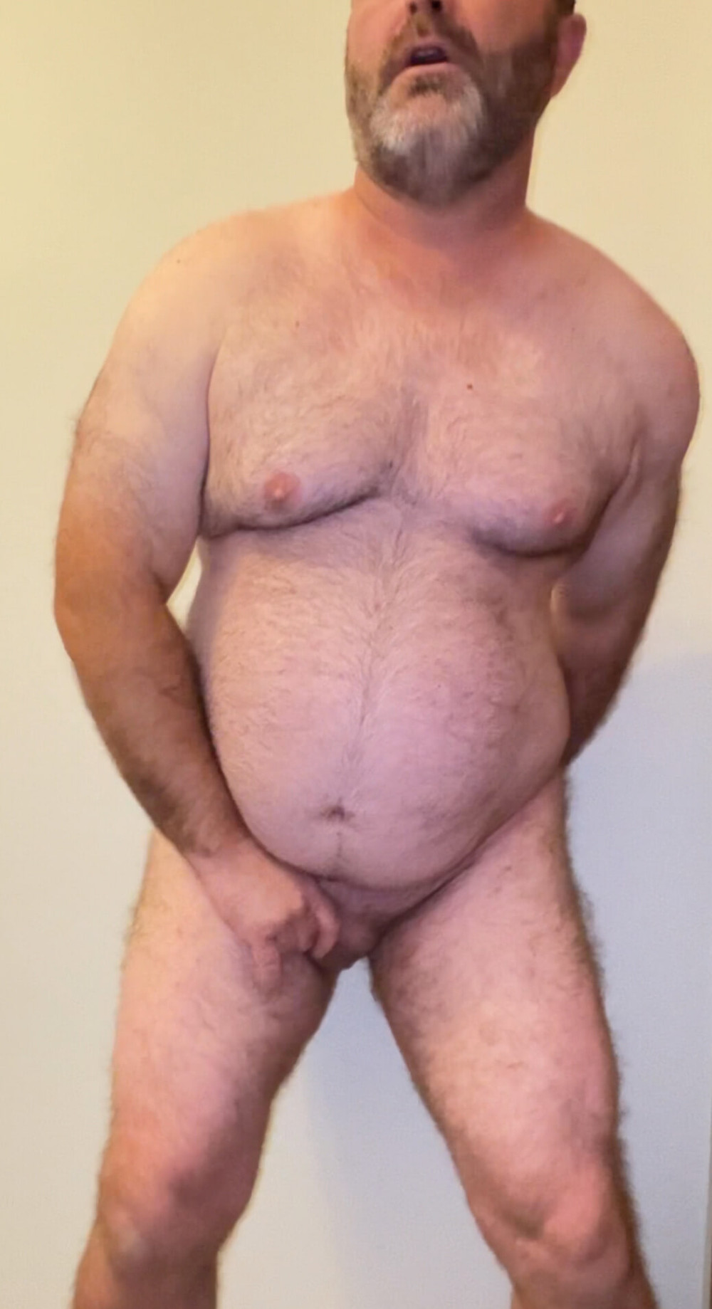 Hairy versus trimmed and shaved bear  #4