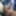 ValerieDaisy my Sissy&#039;s cock love #5