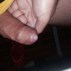 Um Ursinho