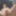 exhibitionist outdoor sexshow fuck my ass with great cumshot #29