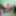 Test #3