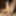 My big fat dick