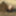 Anna naked on straw bales ... #39