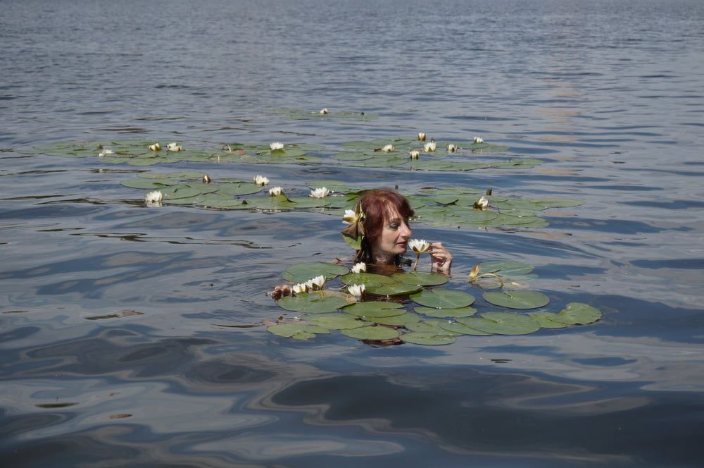 In City&#039;s Pond #6