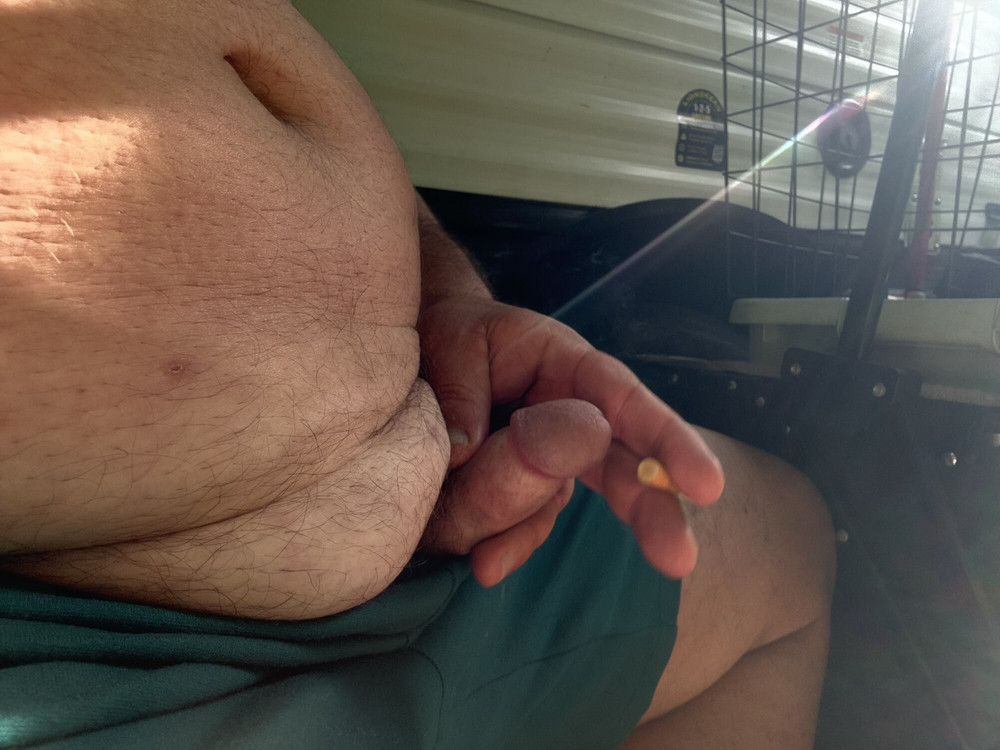 BrewsterBear Again #33