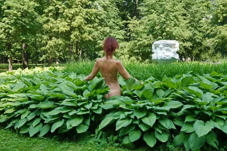 naked in the grass         