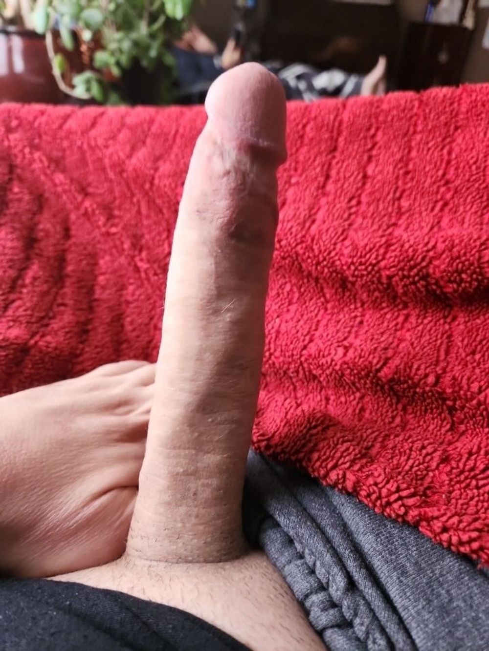 My cock 