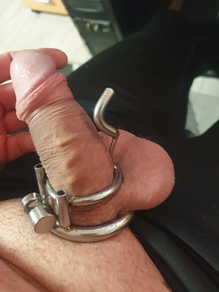 Chastity Cage 4