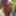 June 2019 nude outside Juin 2019  nu exterieur chez moi #19