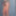 20100929 studio breasts #30
