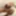 Body et collants noirs ouverts