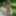 naked and fucking in the woods 