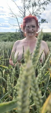 boobs in nature         