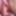 Compilation of close-ups of swollen anus and pissing pussies #16