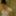Kinky beauty masturbates in the shower for me #4