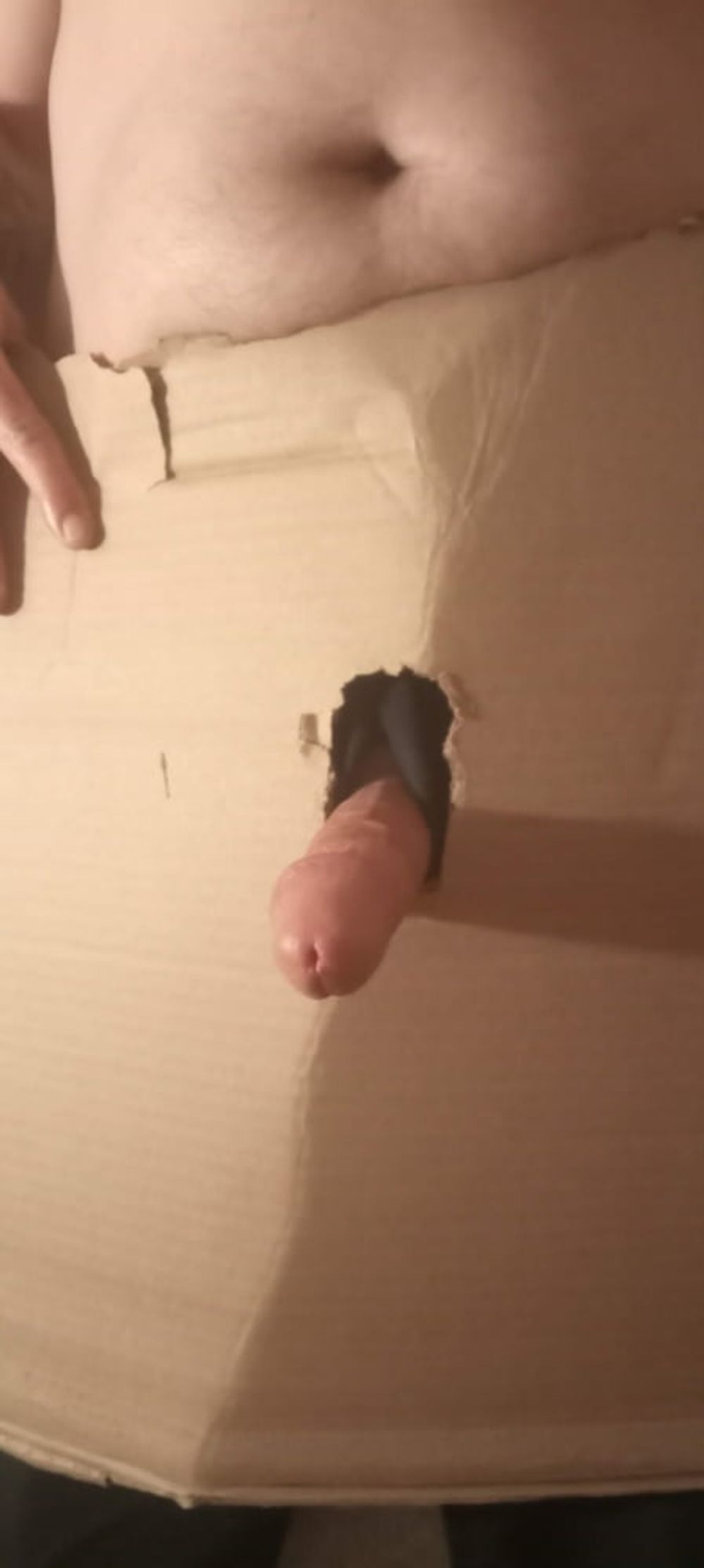 ER1973 different views of my cock  #3