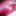 Leatransteen cum in Satin #33