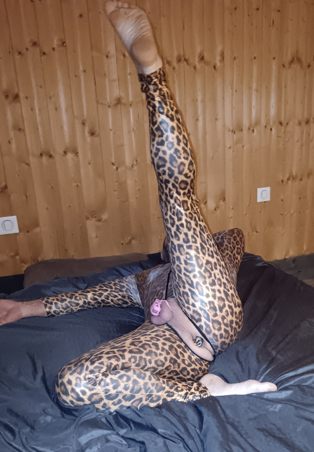 leopard #2