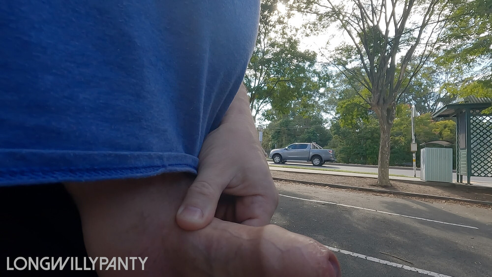 Amateur straight guy flashes his cock next to the busy road #17