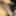 Here Is My Horny Dick