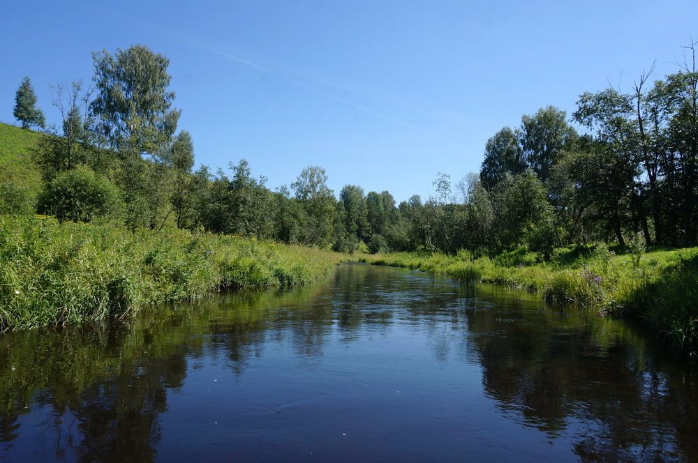 Nude walk upon river #2