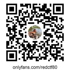 follow me
