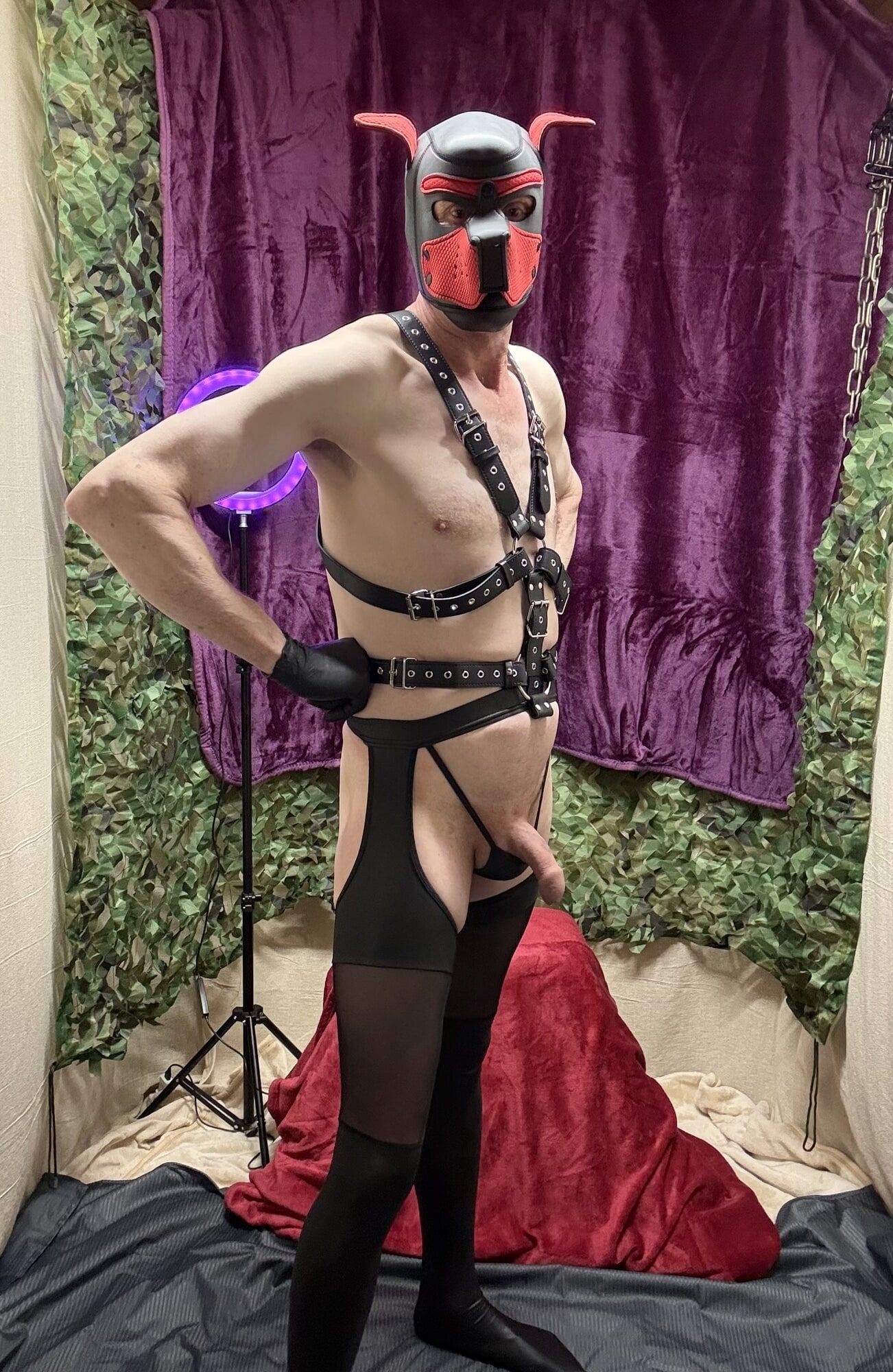 Horny Cock Show With Harness And wet look stockings  #3