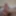 Girthy and needing attention  #3