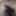 Desi big cock 