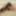 Unusual Award N.3 Girl Model&#039;s Record Pubic Hair Phenomena