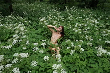 in white flowers           