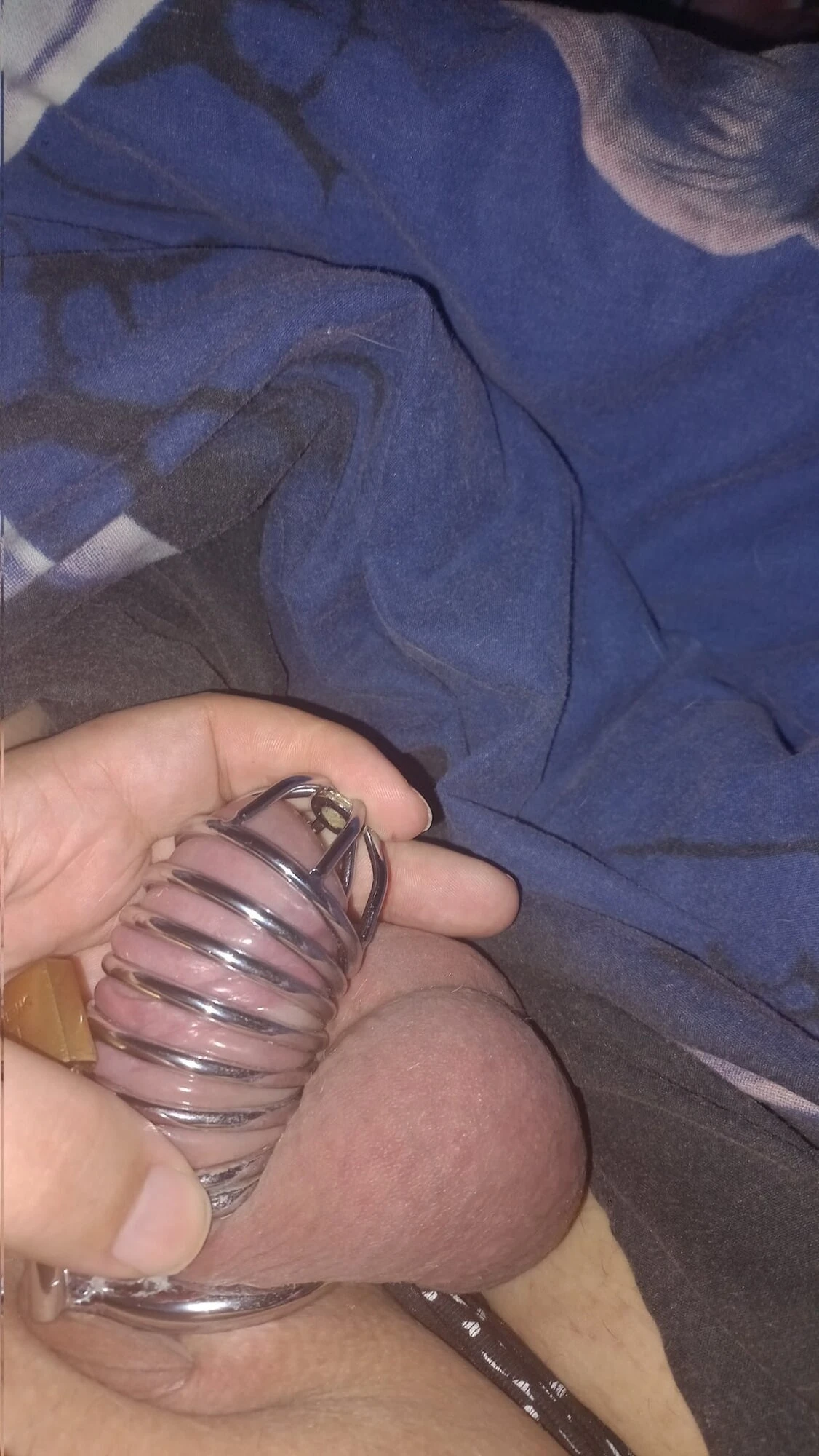 Me In Chastity - Collection #2 - 01.09.2023 Update #18