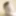 Seattle streamer and pornstar looking for women 