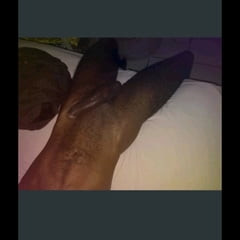 Hard cock 
