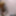 4k Everything Sheisnovember #1 Areolas Black Nipples Fucking #18