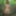 Forest Undressed